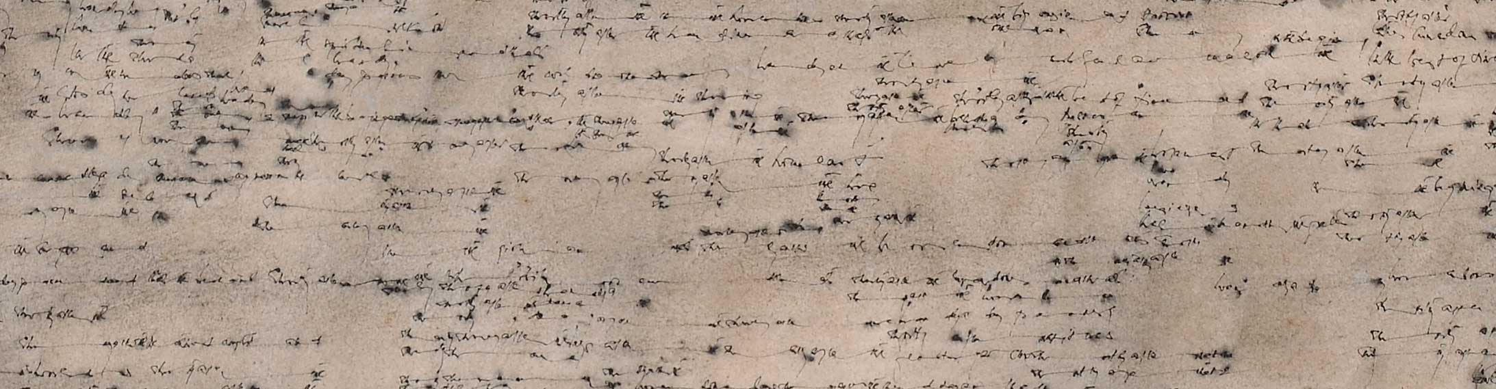 Untitled - Maliheh Afnan